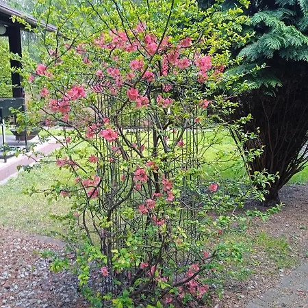 Apartment Wiejska 126 *