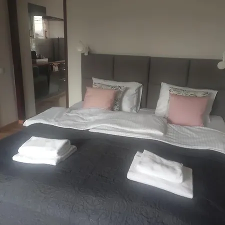 Wiejska 126 Lägenhet Sosnowiec