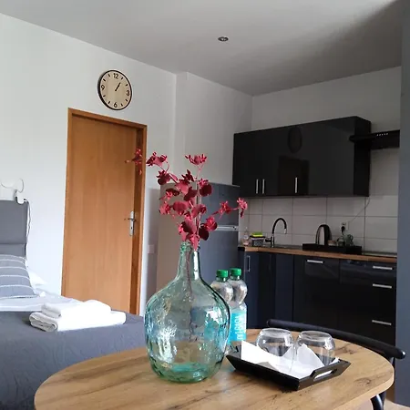 Wiejska 126 Apartment Sosnowiec