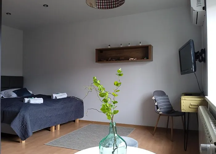 דירה Wiejska 126 סוסנוביץ'