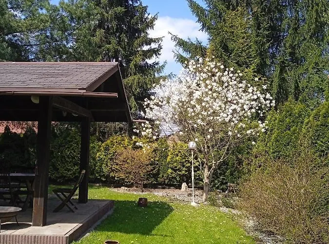 Wiejska 126 סוסנוביץ'