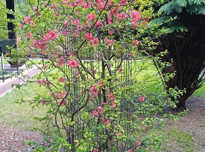 דירה Wiejska 126 *