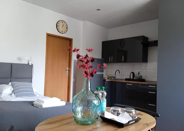 Wiejska 126 דירה סוסנוביץ'